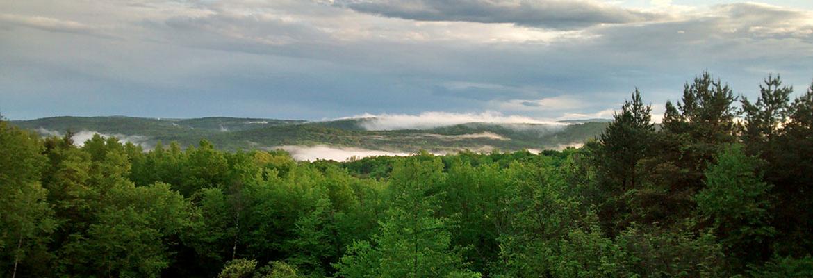 Leyden After the Rain